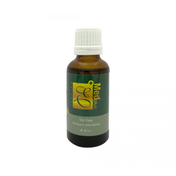 S-511 茶榭 Tea Tree